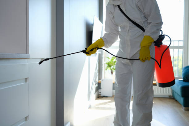 Best Fast Mold Removal  in The Galena Territory, IL